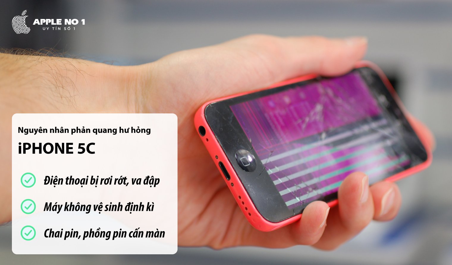 nguyen nhan phan quang iphone 5c bi hu hong