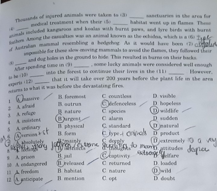 76e79d14903d5d63042c.jpg